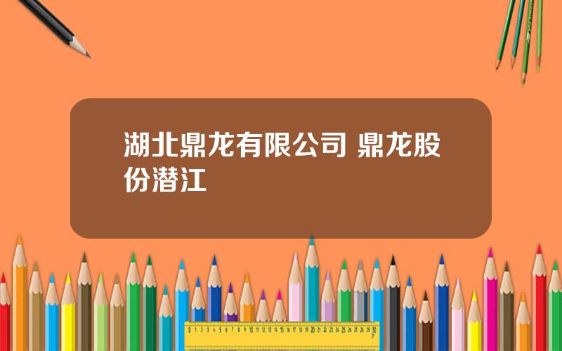 湖北鼎龙有限公司 鼎龙股份潜江